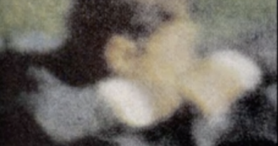 JFK at 62: Where FAKERY and Reality Intersect, the Truth CAN Be Discerned JFK at 62: Where FAKERY and Reality Intersect, the Truth CAN Be Discerned